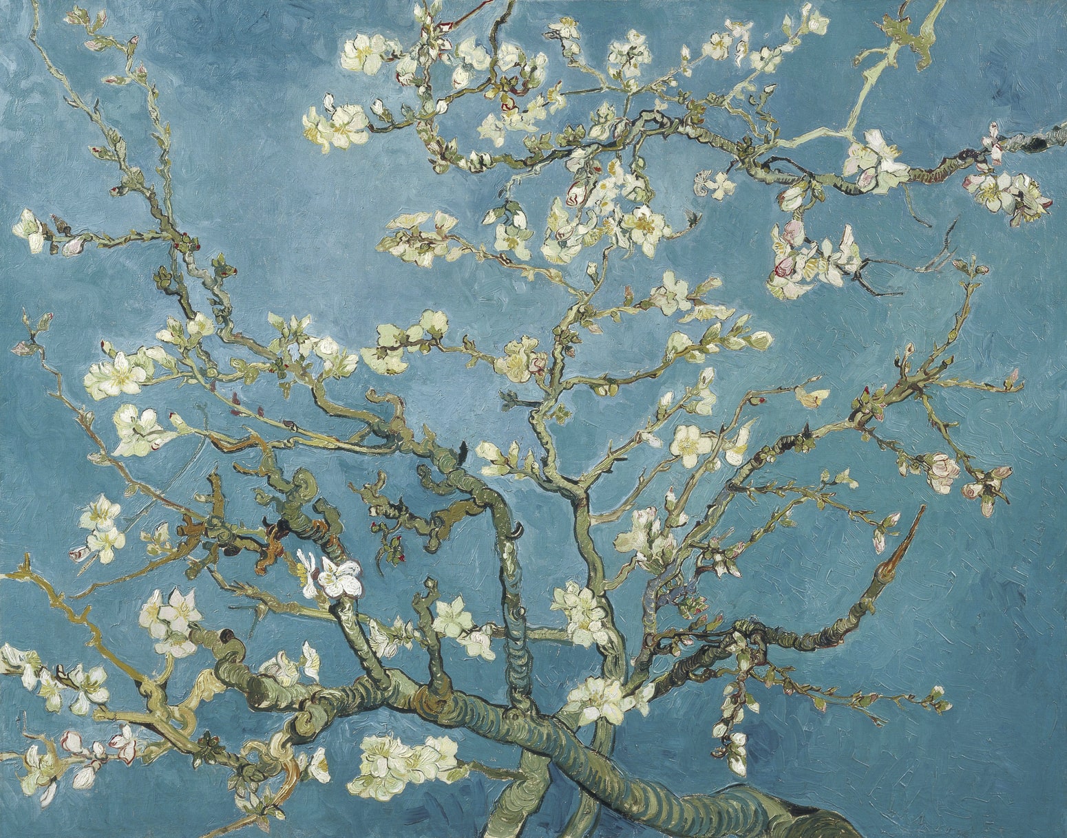 Mandeļu ziedi - Vinsents van Gogs