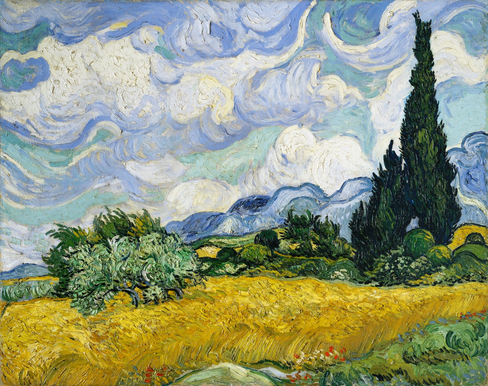 Kviešu Lauks ar Cipresēm - Vinsents van Gogs
